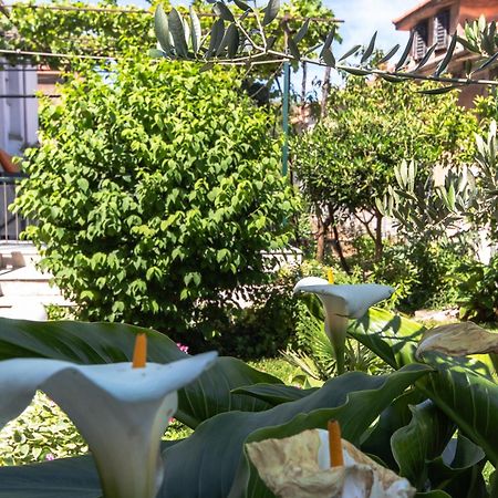 Marjan Hill 3-Br Apt,5 Guests Private Garden Near Beach Split Buitenkant foto